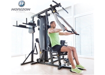 HORIZON FITNESS TORUS 5