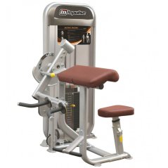 Posilovací stroj Biceps/Triceps IMPULSE Plamax