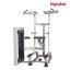 Impulse Fitness; Weight Assisted Chin/Dip Combo EXOFORM FE9720