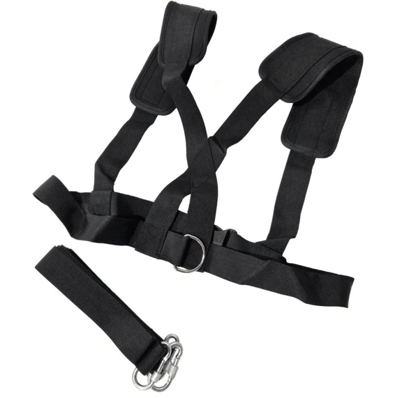 sled carrier