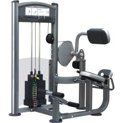 IMPULSE Back exetension (90 kg)