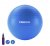 Gymnastics ball PROIRON - 75 cm, BLUE