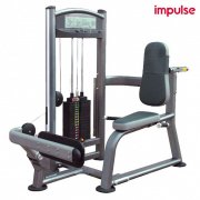 Impulse Fitness - Rotary Calf IT9316