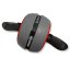 PROIRON Ab Roller