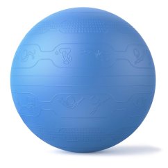 PROIRON Yoga Ball Embos - 65 cm, dark blue