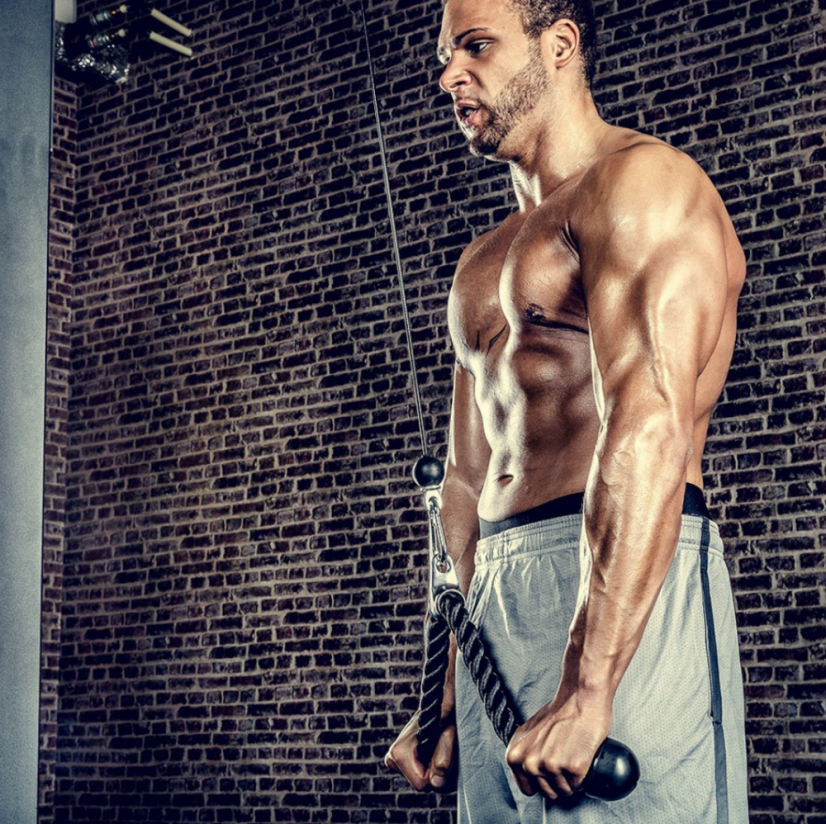 Lina Triceps 70 cm