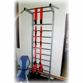 Ladder ARSENAL, 240 x 80 cm, metal