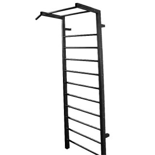 Ladder ARSENAL, 240 x 80 cm, metal