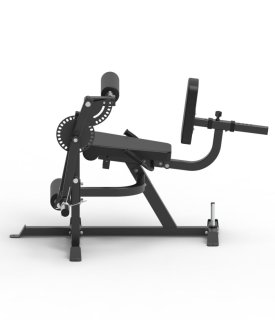 IRONLIFE Leg Extension/Curl Machine