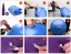 PROIRON Printed Yoga Ball - 55 cm, ROSE RED