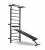 Ladder with ATX LINE Wall Bar Gym