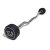 IRONLIFE Coated Barbell Curl Bar, 17,5 kg