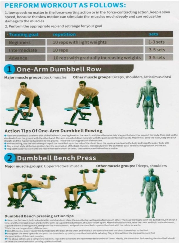 Universal weight bench IRONLIFE 503BA