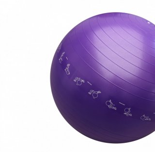 PROIRON Printed Yoga Ball - 65 cm, PURPLE