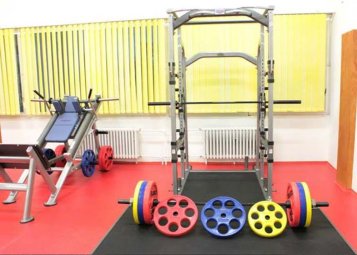 Bulldog Gym v Mostě