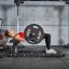 ATX LINE Hip Thruster Bench