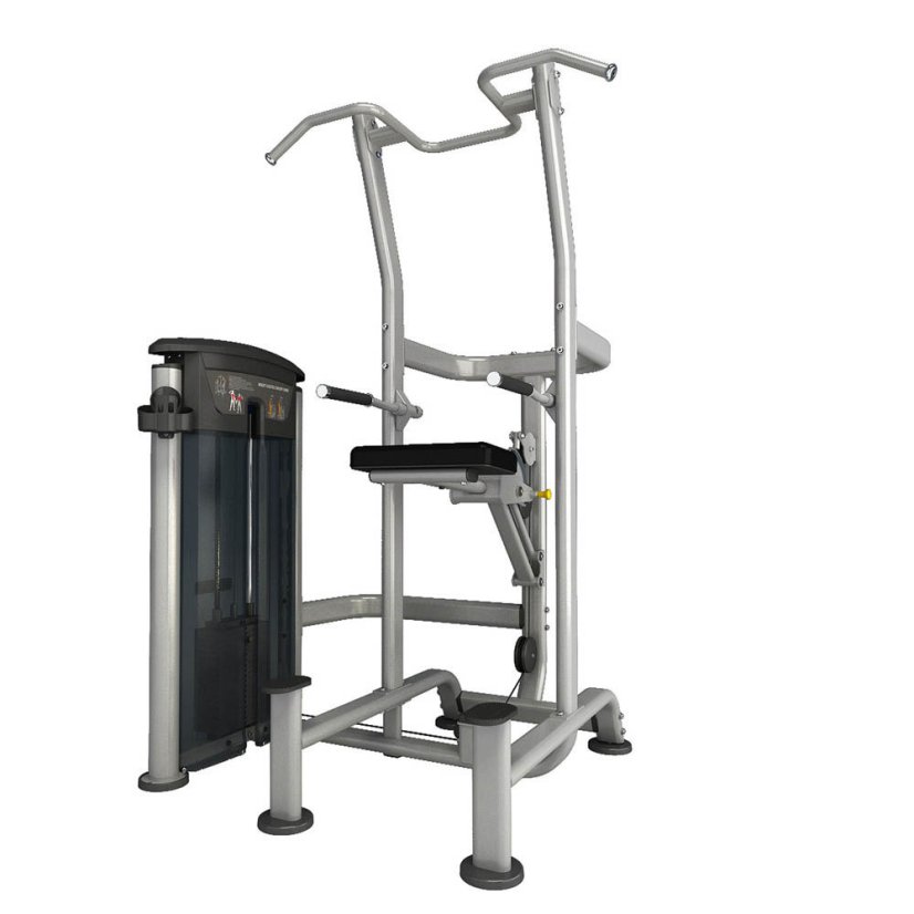 Posilovací stroj IMPULSE Chin/Dip Combo - Varianta: Posilovací stroj Chin/Dip Combo 134 kg