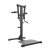 Standing Lateral Raise