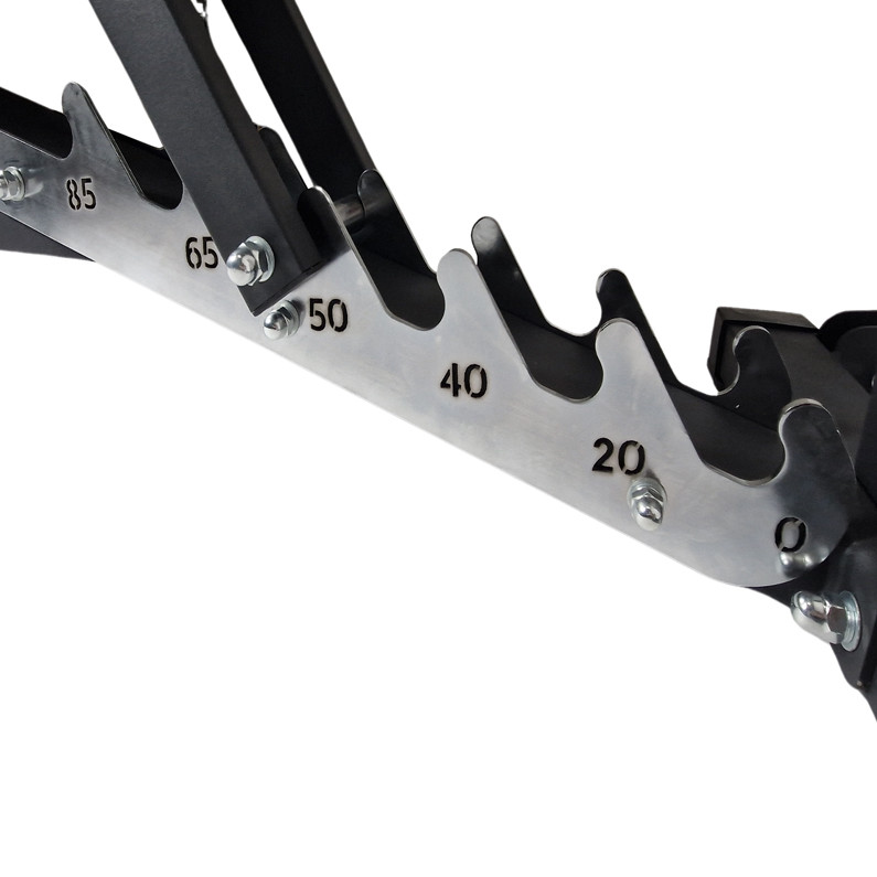 Strengthening bench professional IRONLIFE