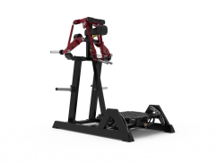 IMPULSE; ECP103 STANDING LATERAL RAISE