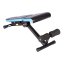 Universal weight bench IRONLIFE 503BA
