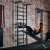 Ladder with ATX LINE Wall Bar Gym