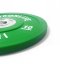 FULL DESIGN Bumper PLATES detail