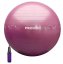 PROIRON Printed Yoga Ball - 55 cm, ROSE RED
