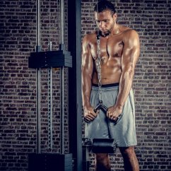 Gryf Zaczepowy Gryf Zaczepowy