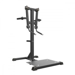 Standing Lateral Raise
