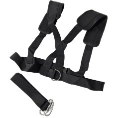 sled carrier