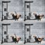 atx fitness