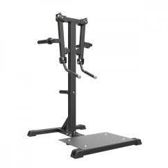 Standing Lateral Raise