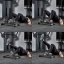 ATX LINE Glute Ham Roller