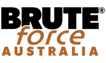 BRUTE FORCE