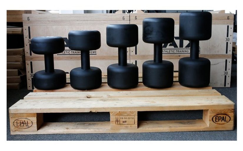 ATX LINE; Jednoručka Monster 60 kg