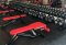 Fitness Czech Virus Gym