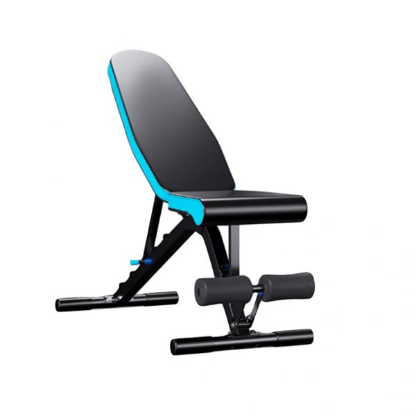 Adjustable Workout Bench
