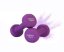 Jednoruční činky PROIRON Neoprene Dumbbell 2 x 1,5 kg - PURPLE