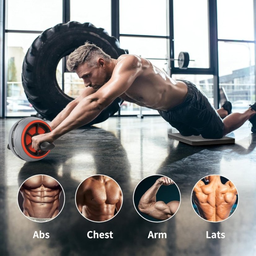 posilovací kolečko zapojené svaly