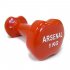 Aerobic dumbbell ARSENAL 1 kg - red/vinyl