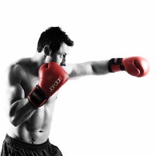 JORDAN FITNESS boxovací rukavice tréninkové - kožené (10) červené